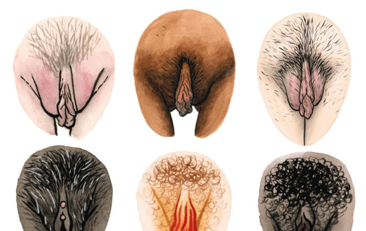 Conheça a ninfoplastia: a cirurgia íntima feminina